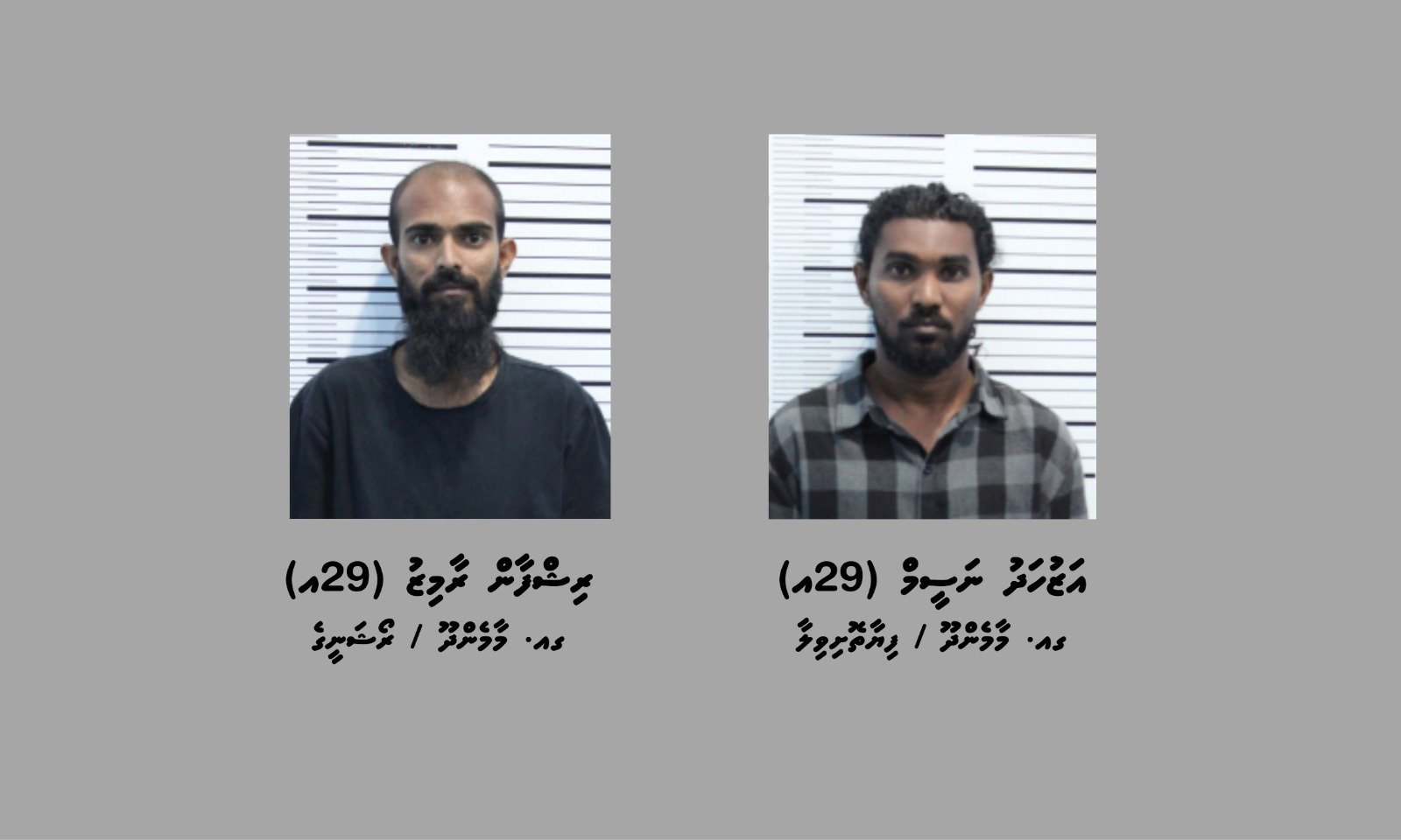 17 ކިލޯގެ މަސްތުވާތަކެއްޗާއެކު ދެ މީހަކު ހައްޔަރުކޮށްފި